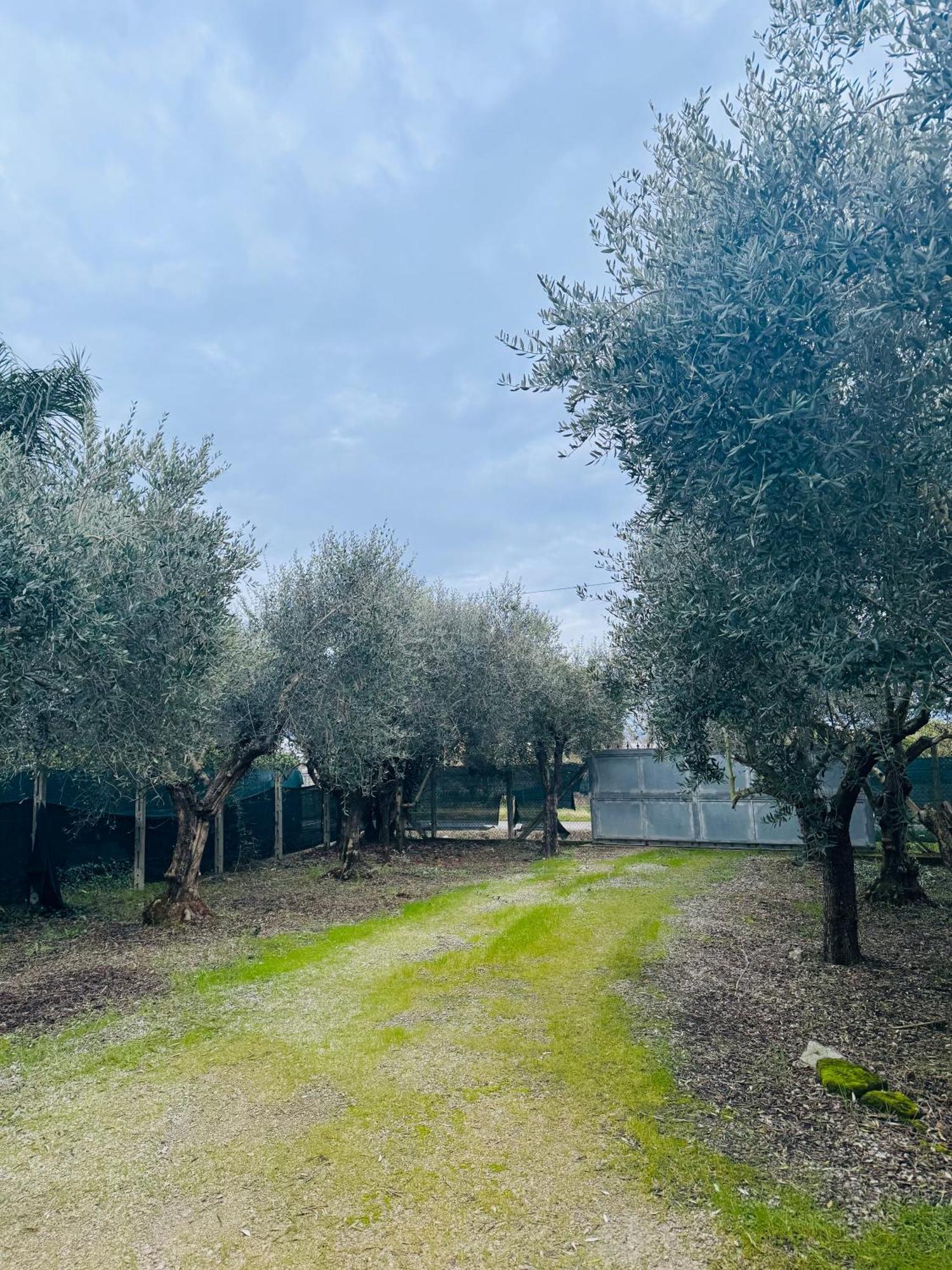 Vila La Perla Di Dea Lido Di Fondi Exteriér fotografie